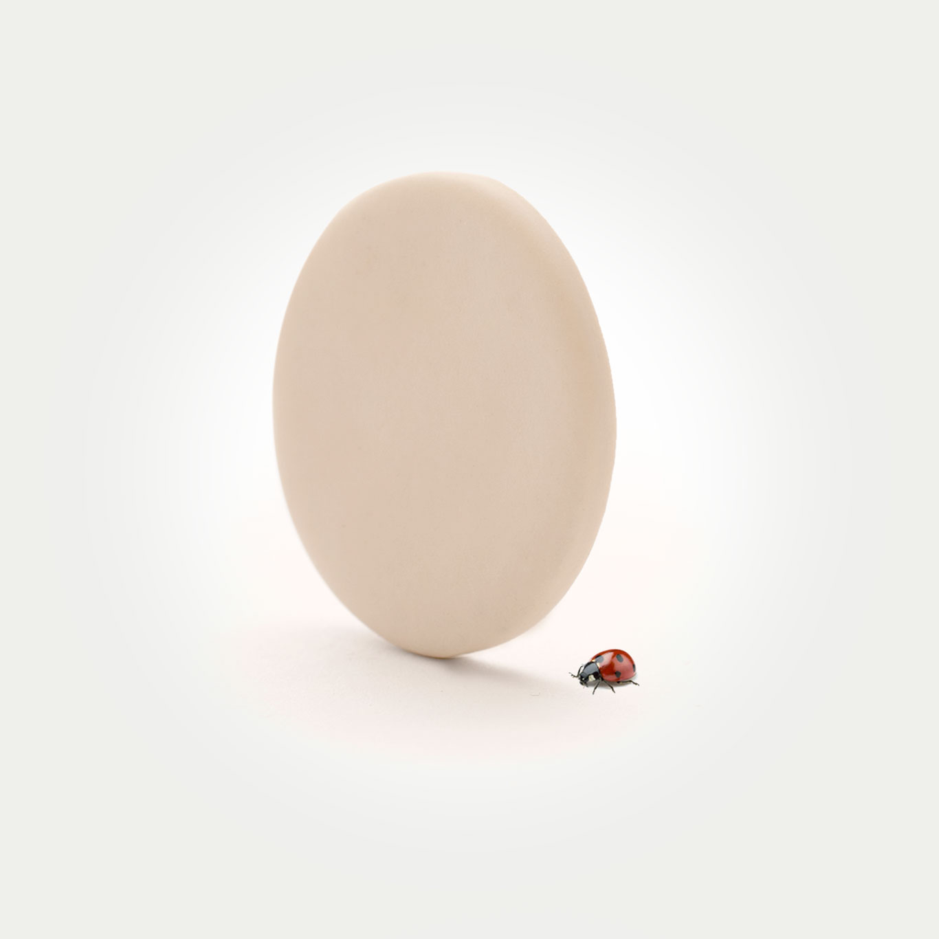 Sample-Pack-lifestyle-1 Lighting Pendant Ceiling Hook