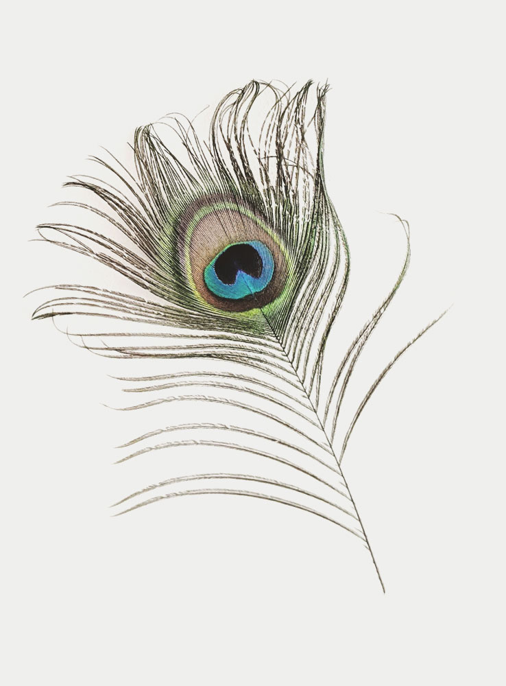 Lam-Lighting-Peacock