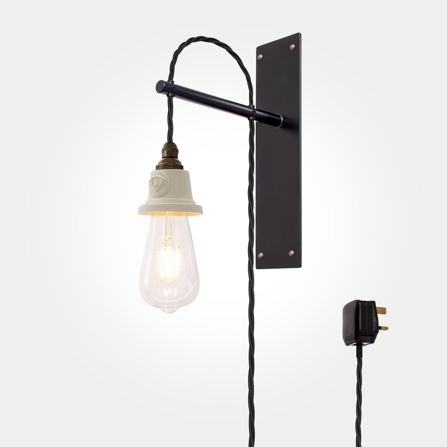 Delphinium-Industrial-Plug-In-Wall-Light Ceiling Light