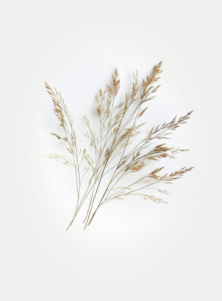 Flatford-Grasses-3