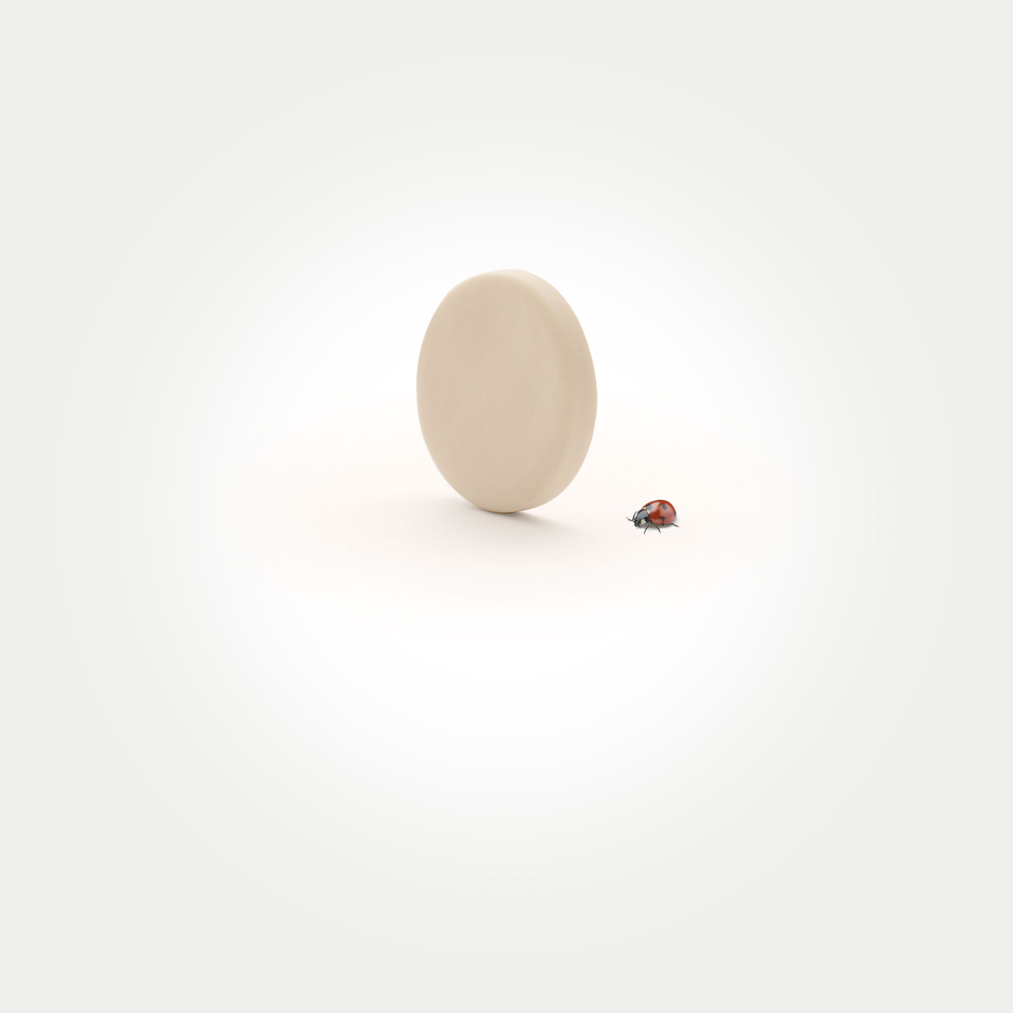 Samples-and-Accessories Dimmable LED Light Bulb Pear