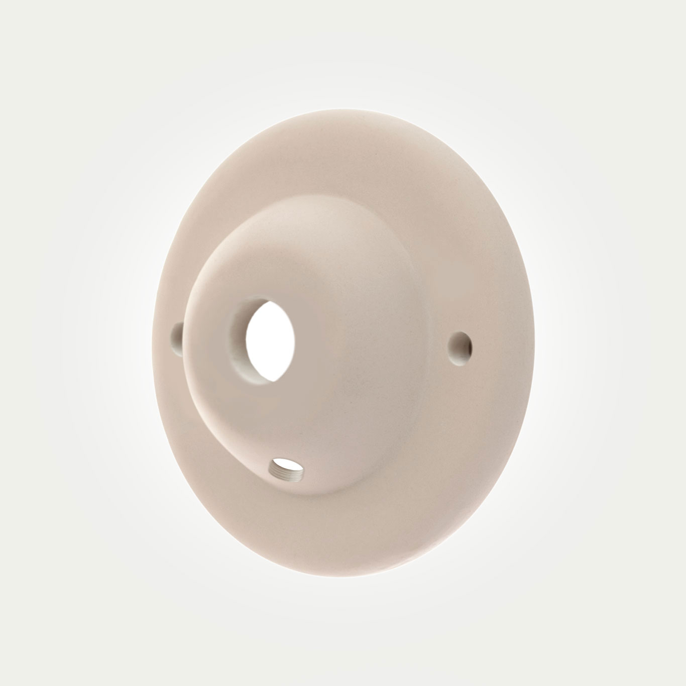 Bergholt-Wall-Rose-Pug-injpg Dimmable LED Light Bulb Pear