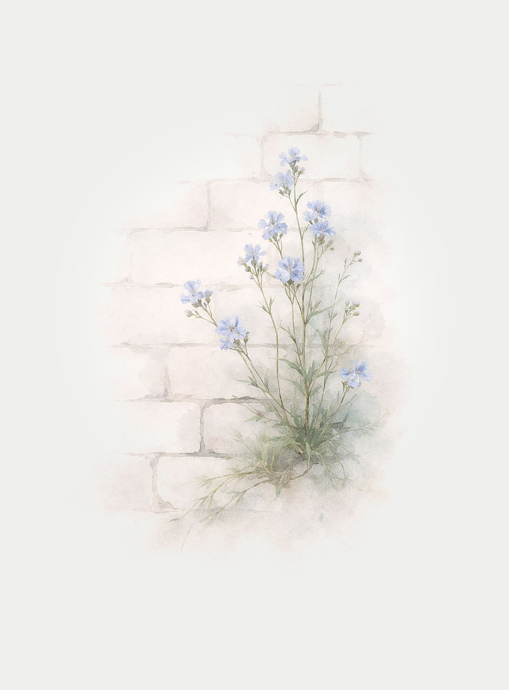 Product-Set-Wall-Flower